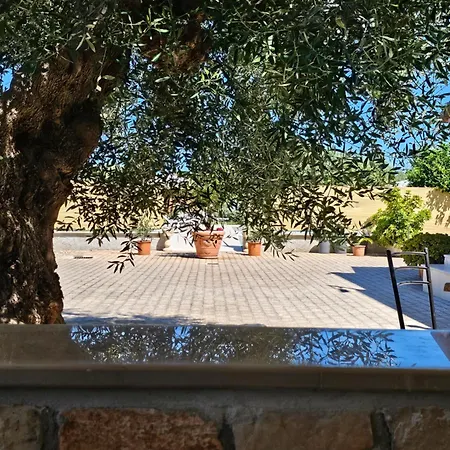L'aia